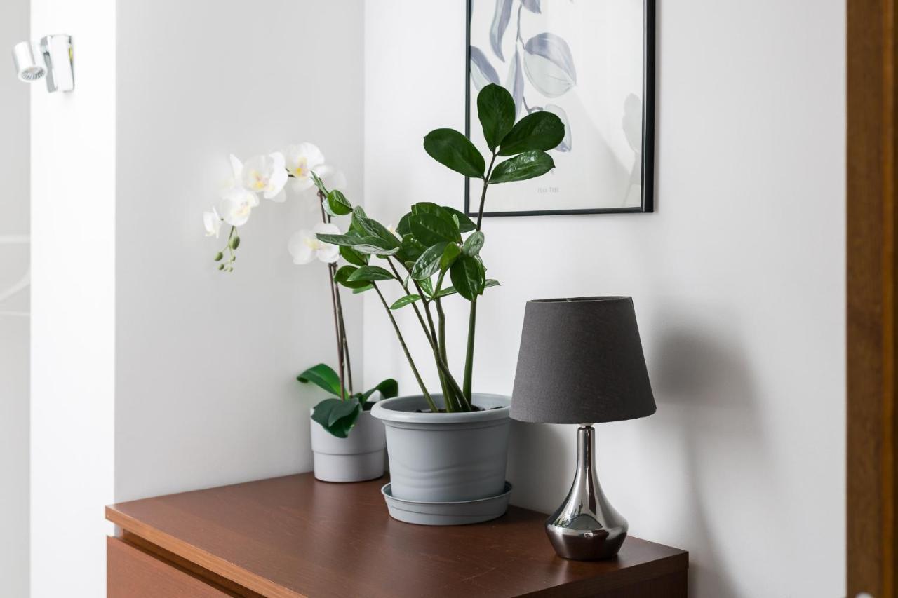 Apartament "Holy" Poznań Buitenkant foto